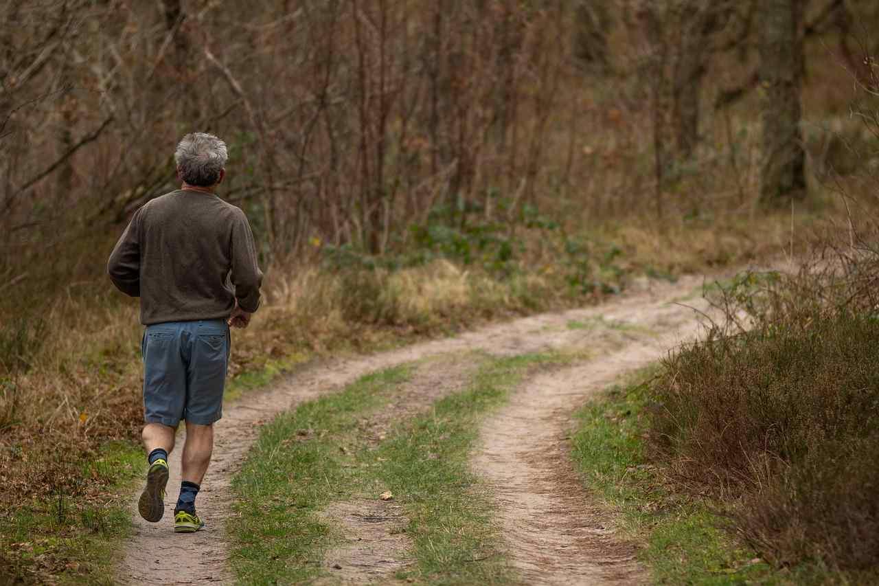 公園をゆっくり歩きながら健康づくりを楽しむ高齢男性の散歩風景